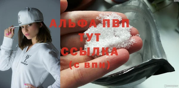 сатива Арсеньев