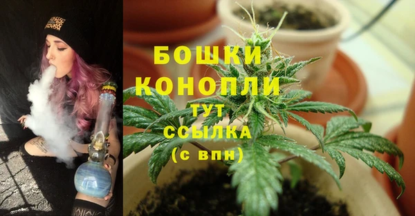PSILOCYBIN Армянск