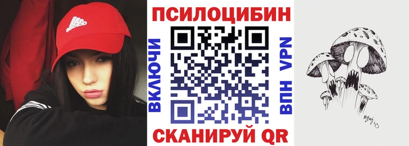 цены наркотик Павлово Псилоцибиновые грибы Cubensis